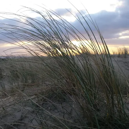 De Noorderzon Hébergement de vacances *