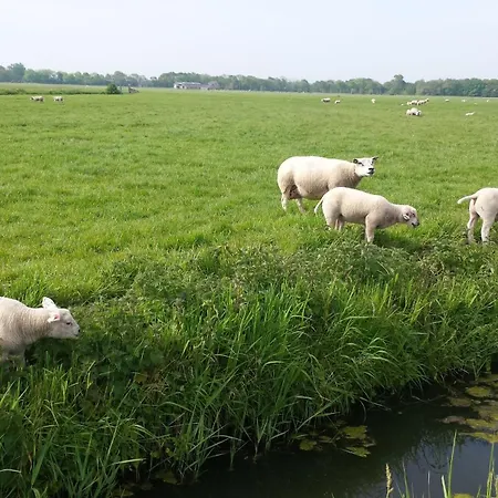 Hébergement de vacances De Noorderzon Egmond aan Zee