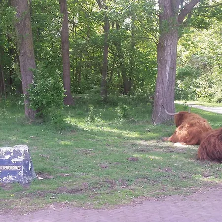 De Noorderzon Hébergement de vacances *