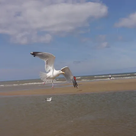 De Noorderzon * Egmond aan Zee