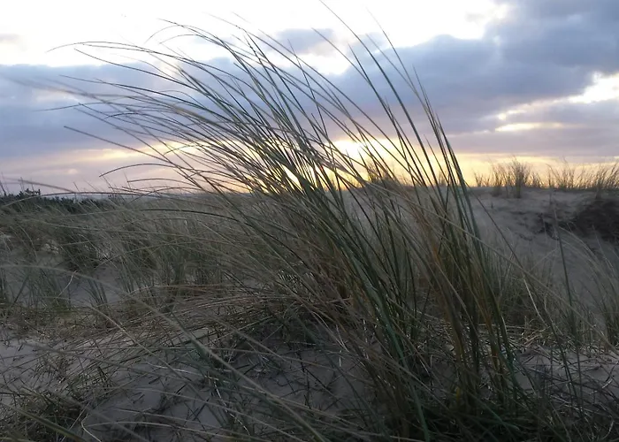 De Noorderzon Casa de Férias *