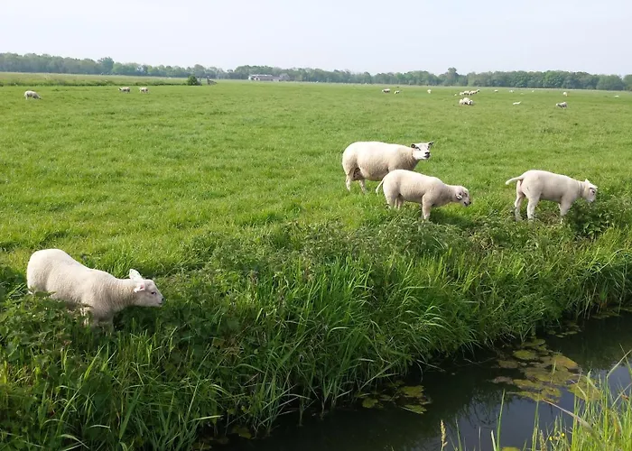 Casa de Férias De Noorderzon Egmond aan Zee