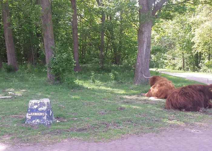 De Noorderzon Casa de Férias *