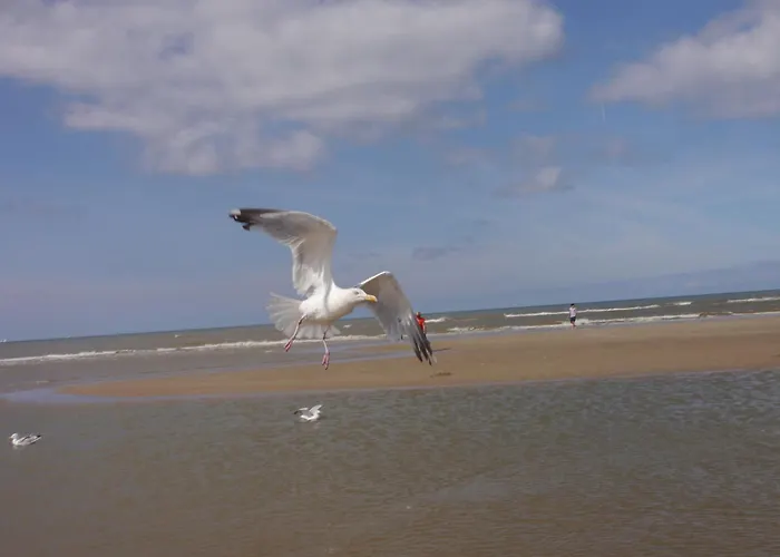 De Noorderzon * Egmond aan Zee